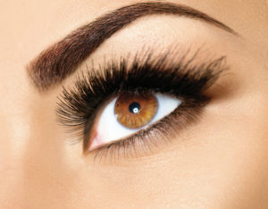 42420961 - brown eye makeup. perfect beauty eyebrows