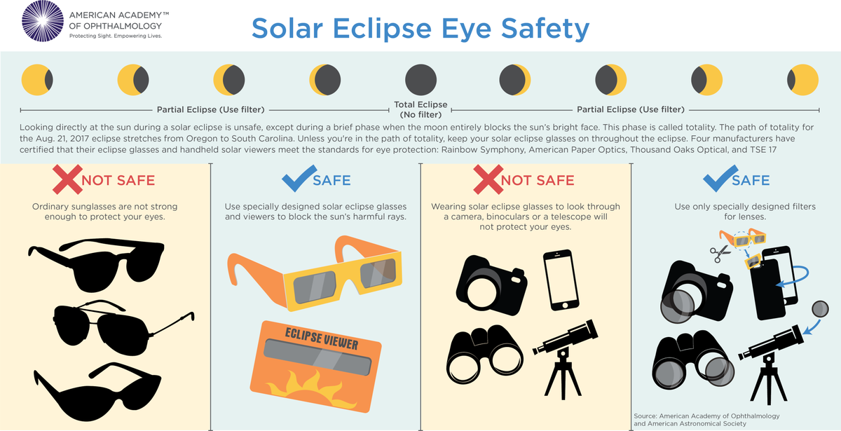 Solar Eclipse Of April 8 2024 Safety Tips Elaine Courtnay